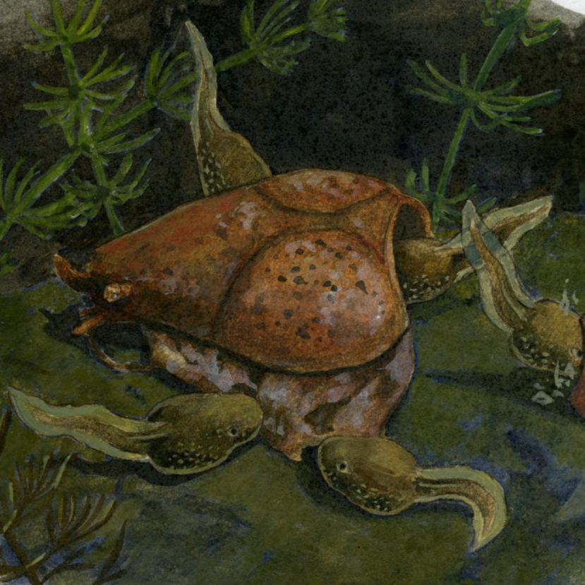 Artwork: sculptural moment