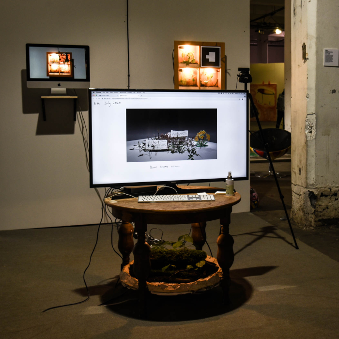 Artwork: glazed reflection