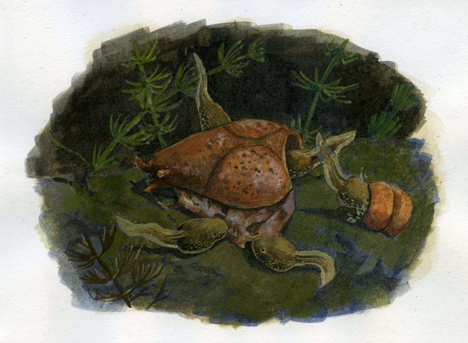 Creayfishtivity installation view 2