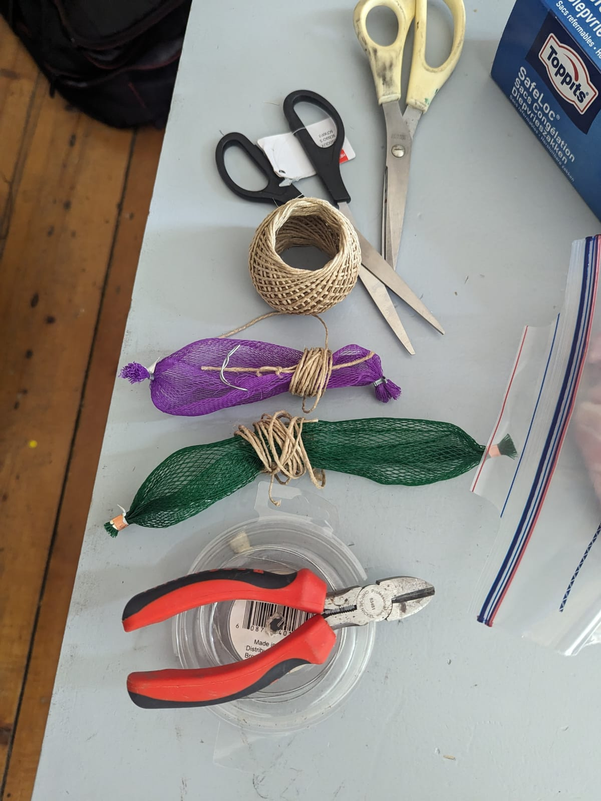 Crayfish illustration detail