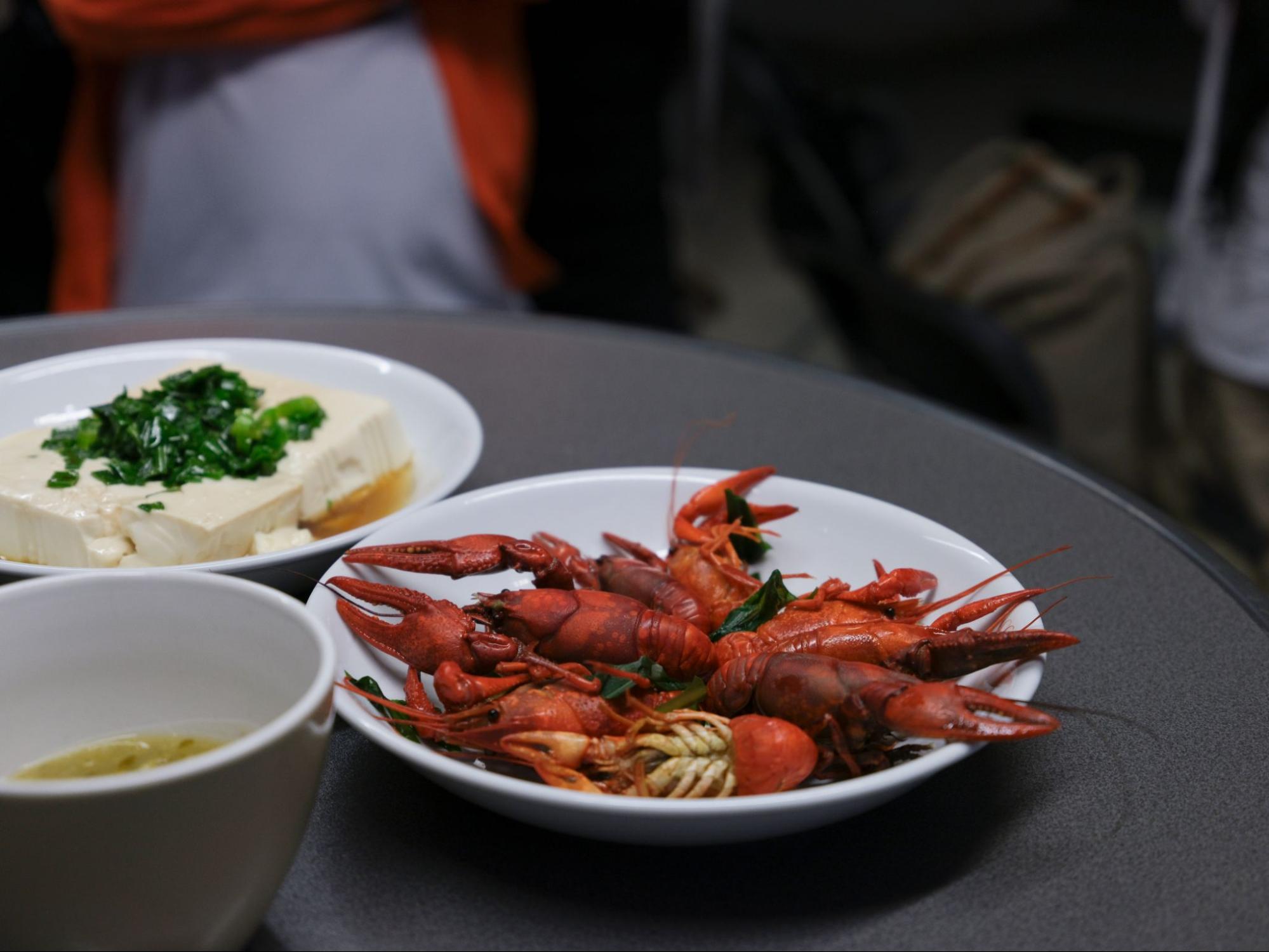 Regenerative Hunting workshop view