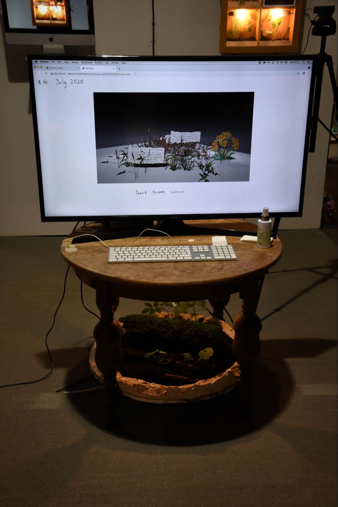 Second Nature - augmented reality experience in the installation